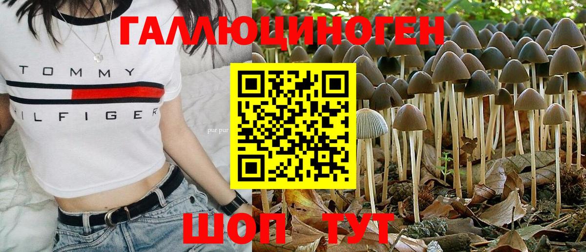 Галлюциногенные грибы ЛСД  Вход с VPN  Нововоронеж 